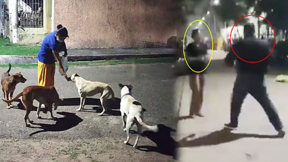 কুকুরকে খাওয়ানোয় নারীকে ৩৮ সেকেন্ডে ৮ বার থাপ্পড়!